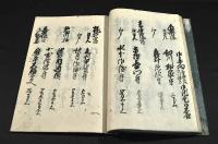 日光山東照宮大権現家康公記