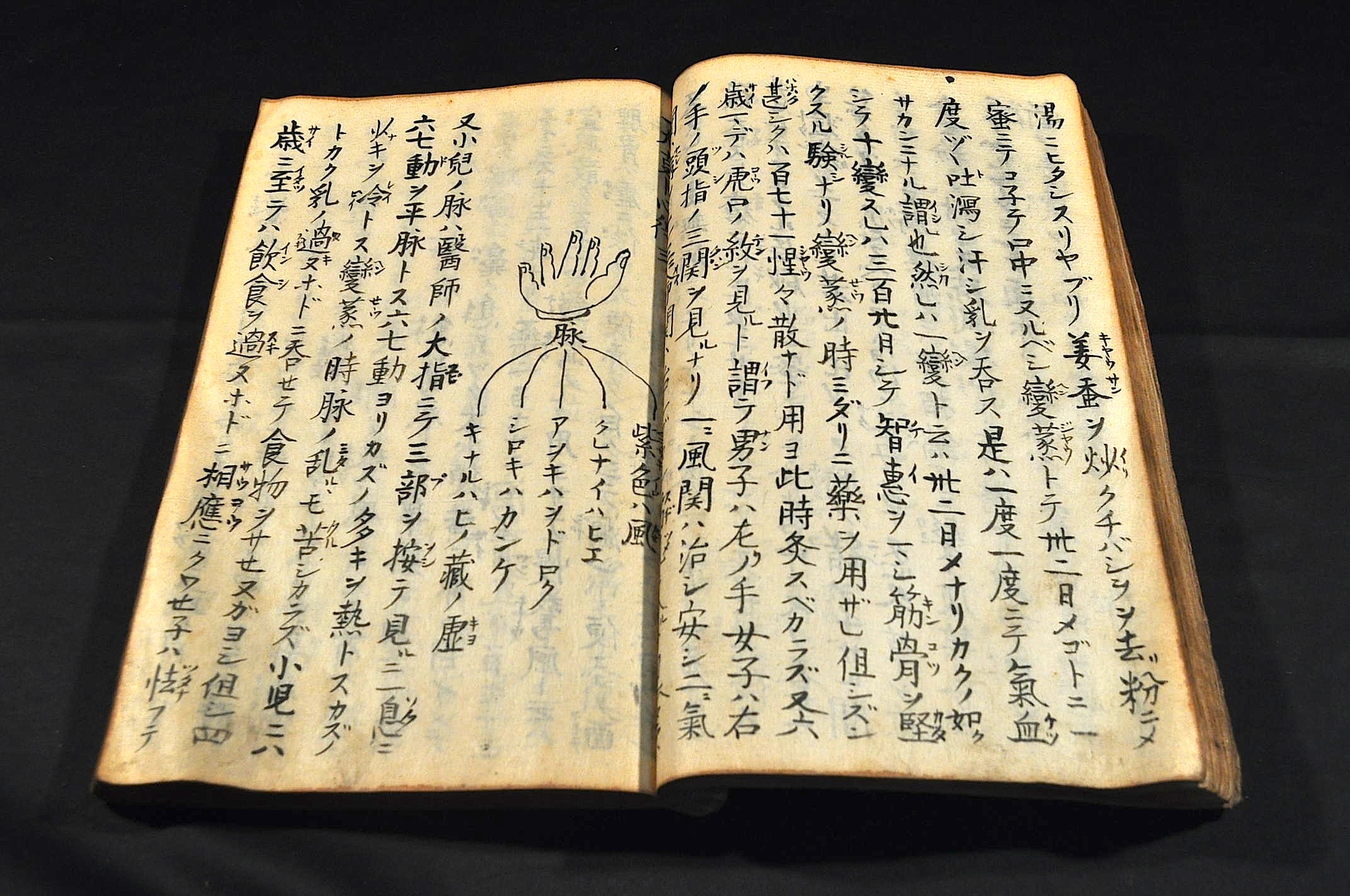 師語録 上下巻各二巻 寫本 曲直瀬道三著 名雲書店 古本 中古本 古書籍の通販は 日本の古本屋 日本の古本屋