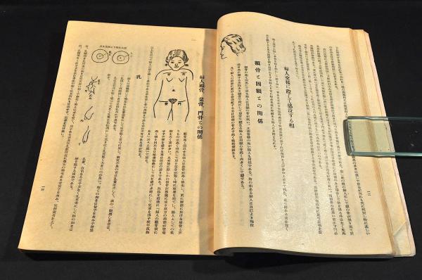 色情相法 観相学極秘伝色情相法 婦人之部・男子之部(桜花簑人記す