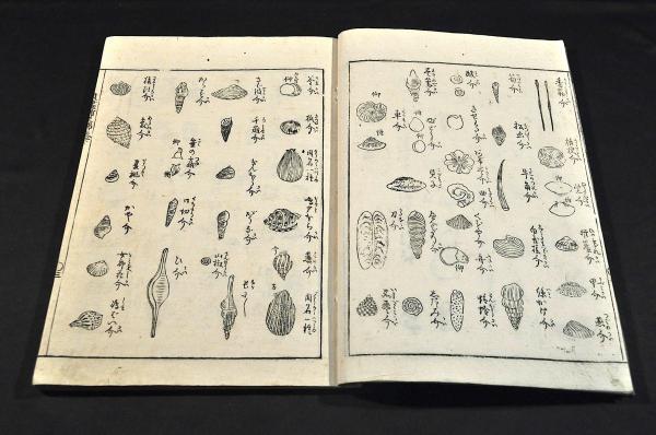譯文筌蹄（やくぶんせんてい）初編1〜6 一括 古書・古文書