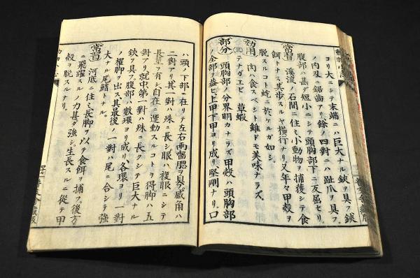 動物小誌(白井毅編) / 名雲書店 / 古本、中古本、古書籍の通販は「日本