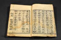 娯息齋詩文集　狂詩廿四首狂文八章