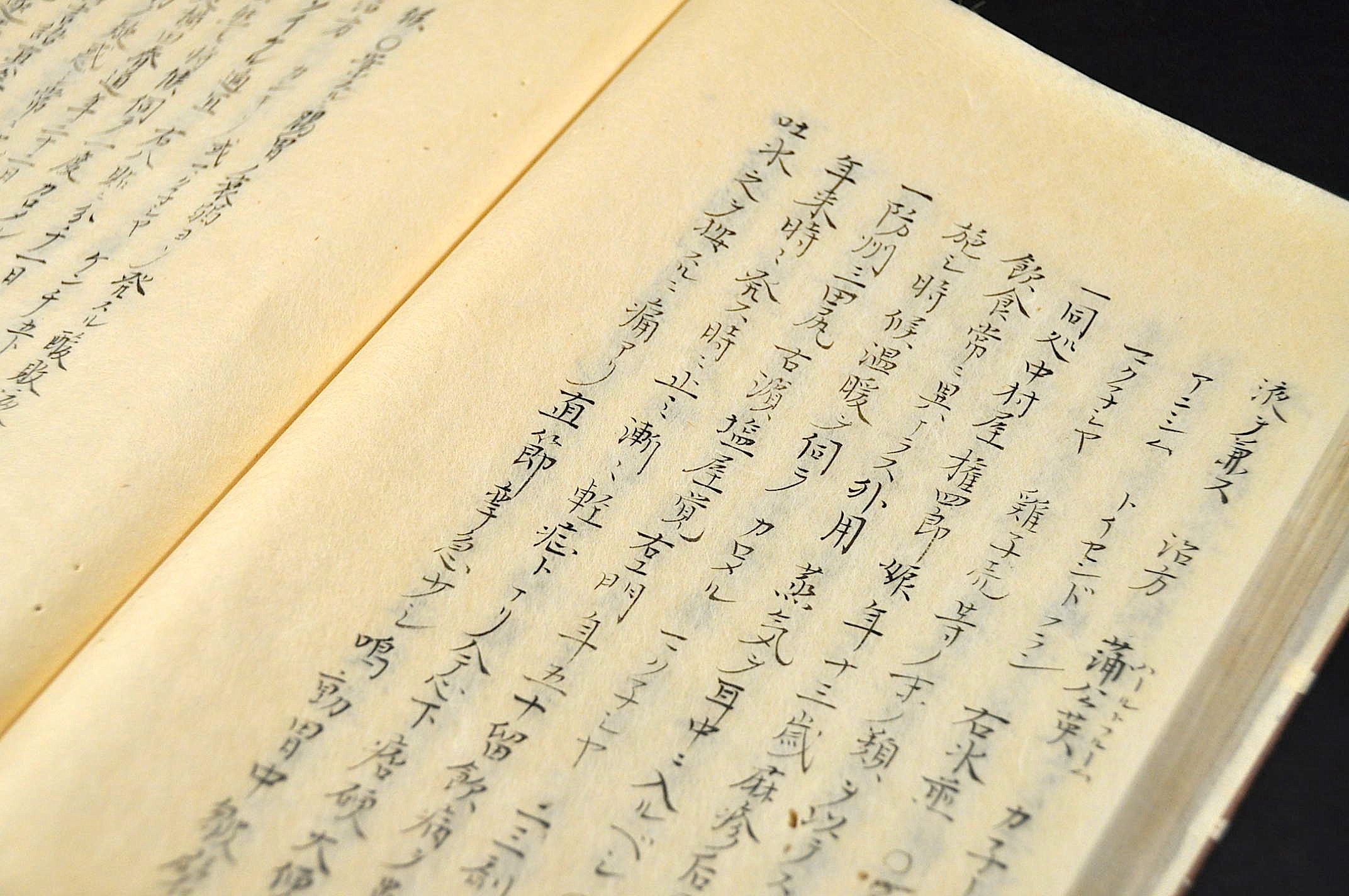 客中証案 巻之一 高野長英著(高野長英著) / 名雲書店 / 古本