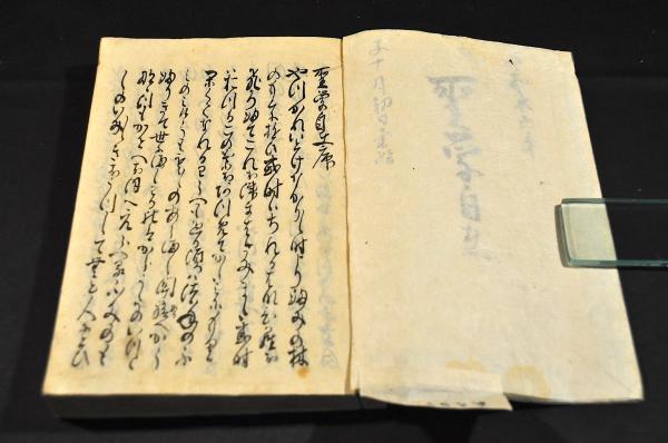 日光御山之繪圖(御繪圖所/鉢石町/植山彌平治板) / 名雲書店