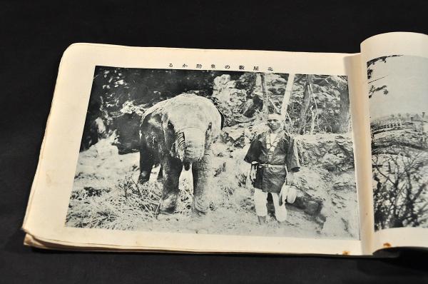 松花堂本 伊勢物語 松花堂昭乗自筆本 南山瀧本坊乗淳奥書(松花堂 松花堂本 伊勢物語 松花堂昭乗自筆本 南山瀧本坊乗淳奥書(松花堂