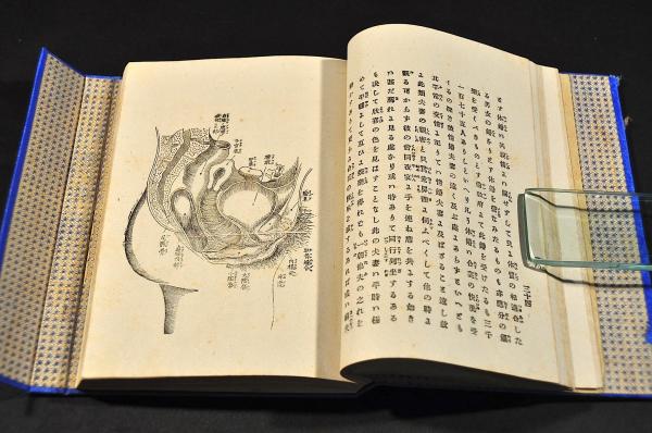 通俗 男女造化機論 訂正増補 帙装釘本(岩本吾一著) / 古本、中古