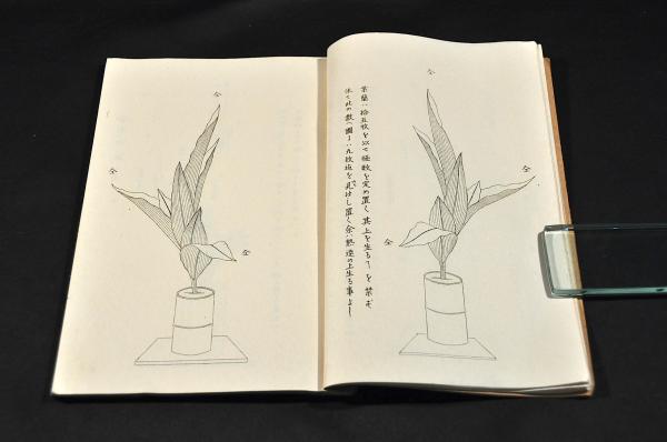 華道家元 華かがみ 生華栞の巻(京都市／池坊專正著) / 古本、中古本