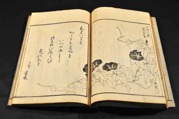 落葉の錦 上下巻(本居内遠編) / 名雲書店 / 古本、中古本、古
