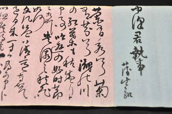 鐘山漫筆 拾遺 火浣布の事附考・蠻人の裔遠