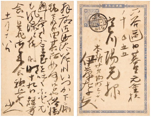 【楽天スーパーセール】 伊藤左千夫自筆書簡及葉書 寒川鼠骨宛 『野菊の墓』が漱石から 和書