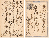 伊藤左千夫自筆書簡及葉書　寒川鼠骨宛　『野菊の墓』が漱石から激賞された喜びを鼠骨に傳えた一通