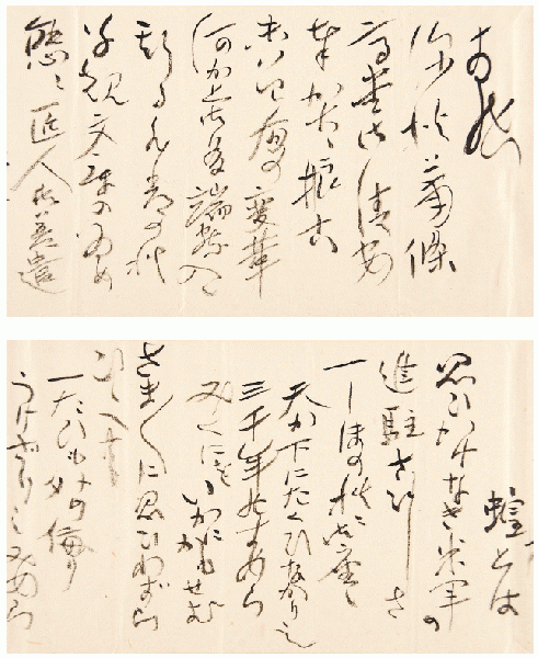 Amazon.co.jp: 伊藤左千夫自筆書簡及葉書 寒川鼠骨宛 明治三九年