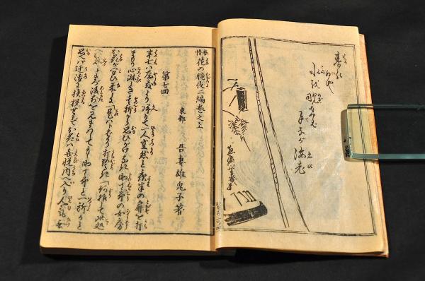 花の朧夜 第二編・第三編 各上中下巻 元合本 艶本(吾妻雄兎子著