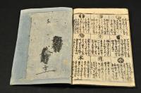 一代の星見　夢はんじ