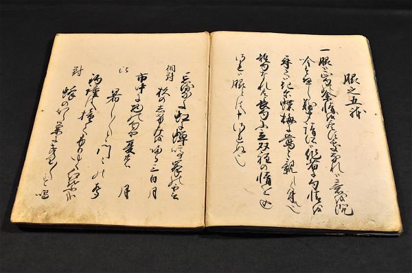 蕉風極秘傳(中花堂東川𠀋) / 名雲書店 / 古本、中古本、古書籍の 蕉風極秘傳(中花堂東川𠀋) / 名雲書店 / 古本、中古本、古書籍の