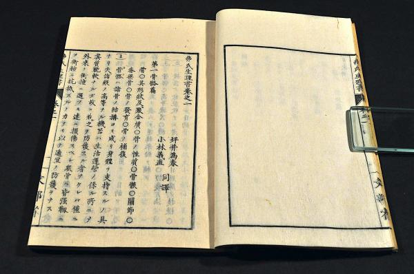 弗氏生理書 全七巻(坪井為春・小林義直同譯) / 名雲書店 / 古本