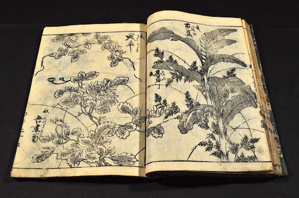 史上最も激安 / 草木画譜（仮題） 古板 名雲書店 古本、中古本、古書籍の / 和書