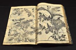 古板　草木画譜（仮題）