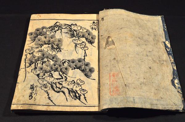 本草図譜九十一・苞木類 岩崎灌園（常正）著画 彩色木版画本