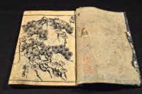 古板　草木画譜（仮題）