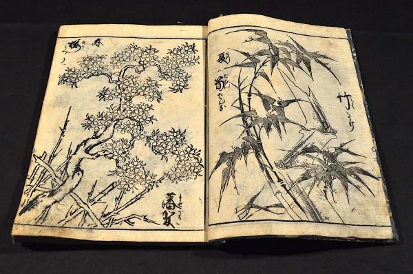 古板 草木画譜（仮題） / 名雲書店 / 古本、中古本、古書籍の