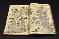 古板　草木画譜（仮題）