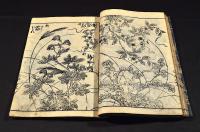 古板　草木画譜（仮題）