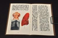 肺炎　其の理學的及び病理的症候