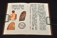 肺炎　其の理學的及び病理的症候