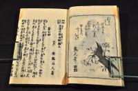 松間花情　吾妻乃春雨　後編上中下巻