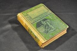 THE LIFE AND ADVENTURES OF ROBINSON CRUSOE
