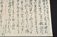 上州猫村俳人才馬詠草