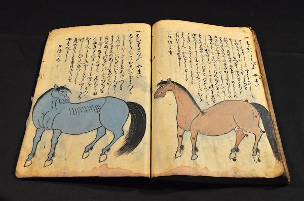 観世流謡本 巻一・二・三・五・六・七・八・十一・十三・十四