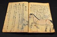 馬病療治口傳（仮題）寫本