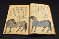馬病療治口傳（仮題）寫本