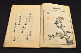 蛾眉帖