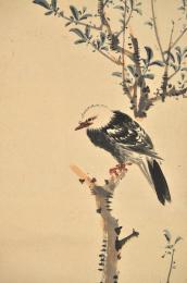 金井烏洲画樹頭白頭鳥圖幅