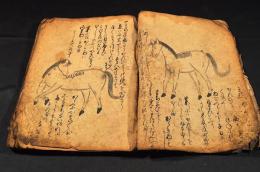 馬醫術書（仮題）