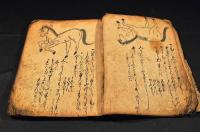 馬醫術書（仮題）