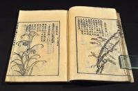 毛詩品物圖攷　草部（巻一／巻二）