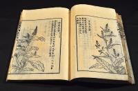毛詩品物圖攷　草部（巻一／巻二）