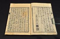 懐胎養生訓