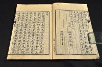 懐胎養生訓