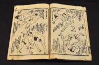男女相撲四十八手（仮題）