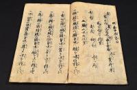 馬醫學書（仮題）　寫本