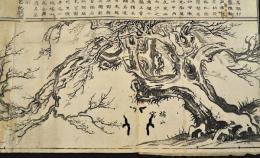 香雪軒記