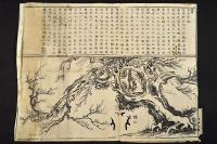 香雪軒記