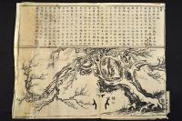 香雪軒記