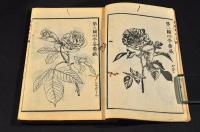 薔薇栽培法　前編