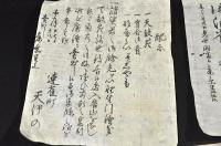 武州川越藩料理店小判すりもの